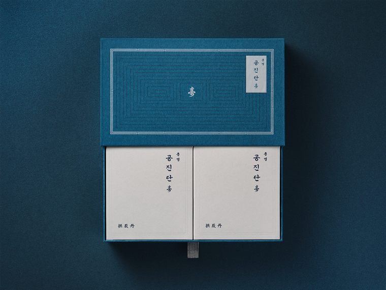 총명공진단