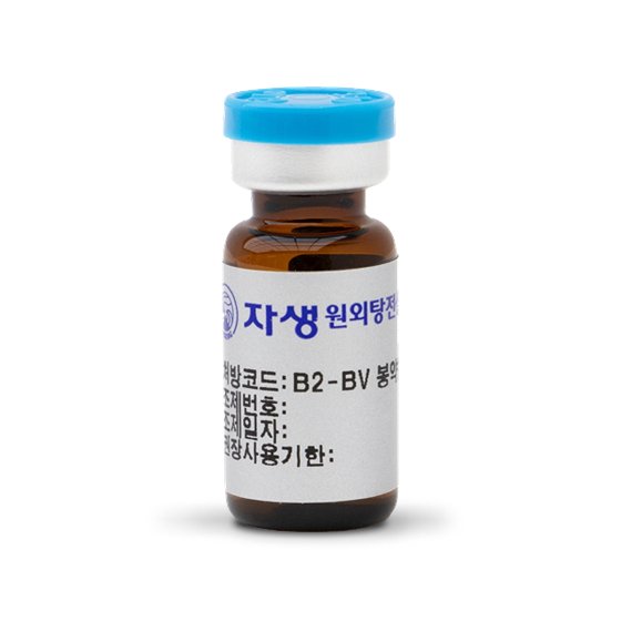 봉약침